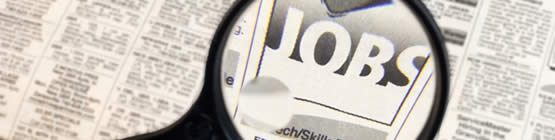 Job Search