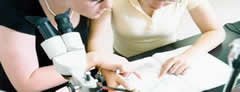 Medical education