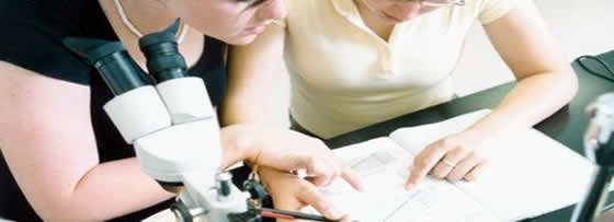 Medical education