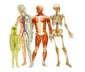 Branches of medicine